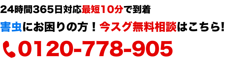 今すぐ
