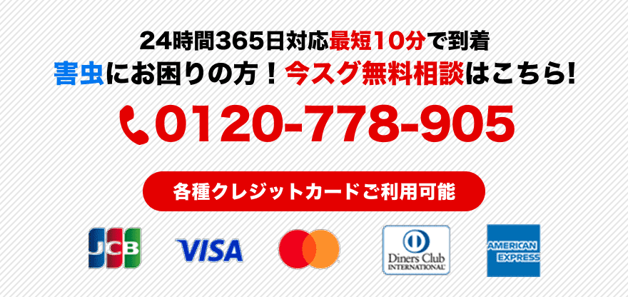 今すぐ無料相談